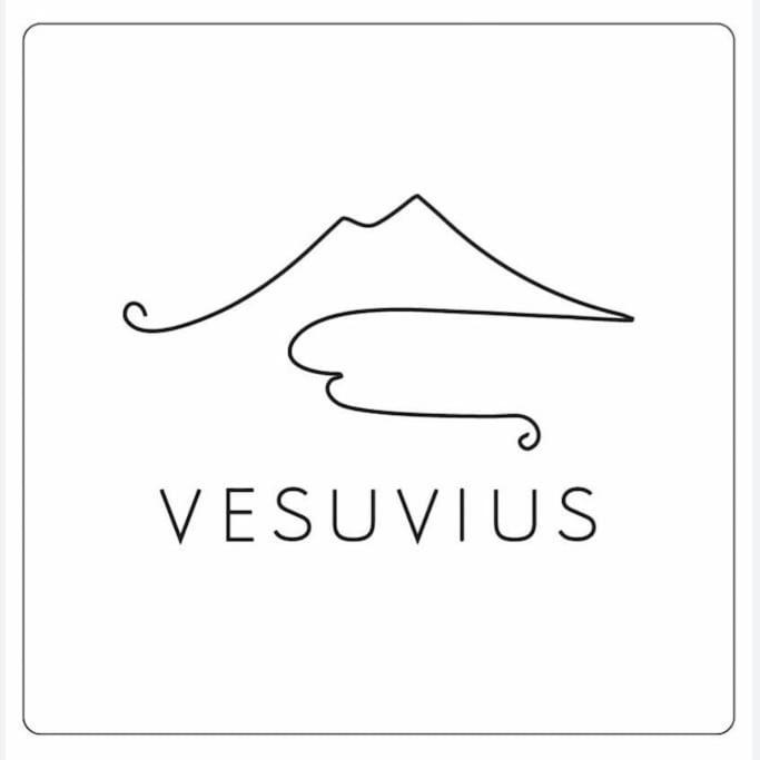Vesuvius A Mezzocannone Naples