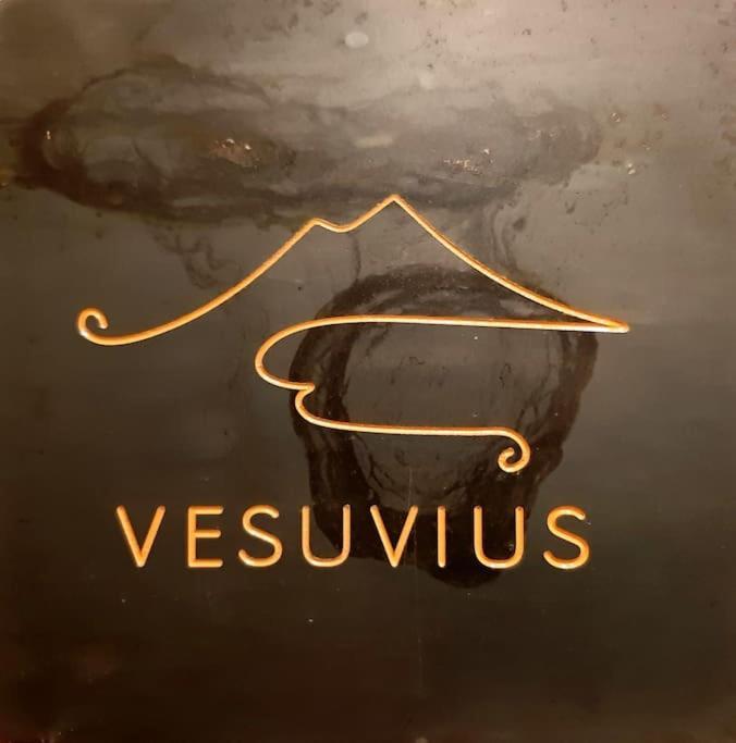 Vesuvius A Mezzocannone Appartement *