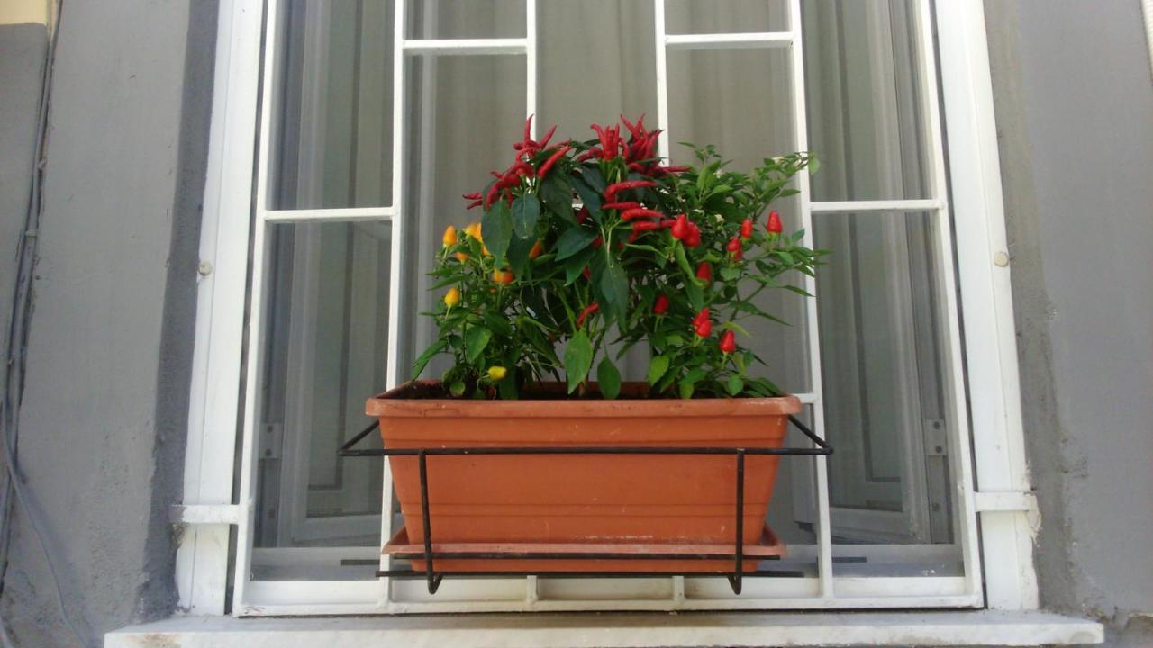 Appartement Vesuvius A Mezzocannone
